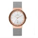 Часы Skagen 456LRS