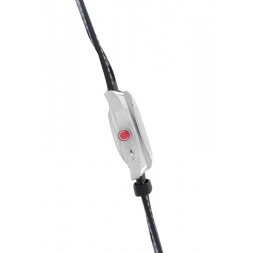 Слава 9010574/300-2427