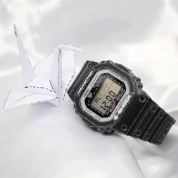Casio DW-5600RGM-1E