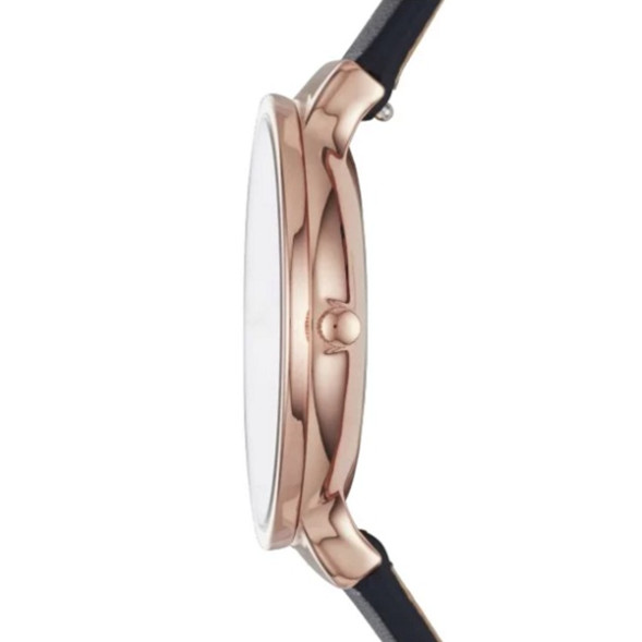 Часы Skagen SKW2608