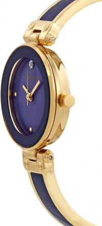Наручные часы Anne Klein 1980DBGB