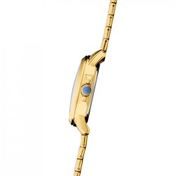 Слава 2259237/6Р29-100