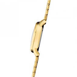 Слава 2259237/6Р29-100